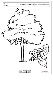 Ağaç boyama sayfaları 